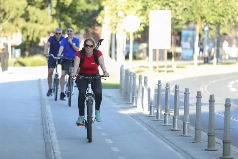 Samozatajnoj dami u tigrastom topu nešto je okupiralo pažnju