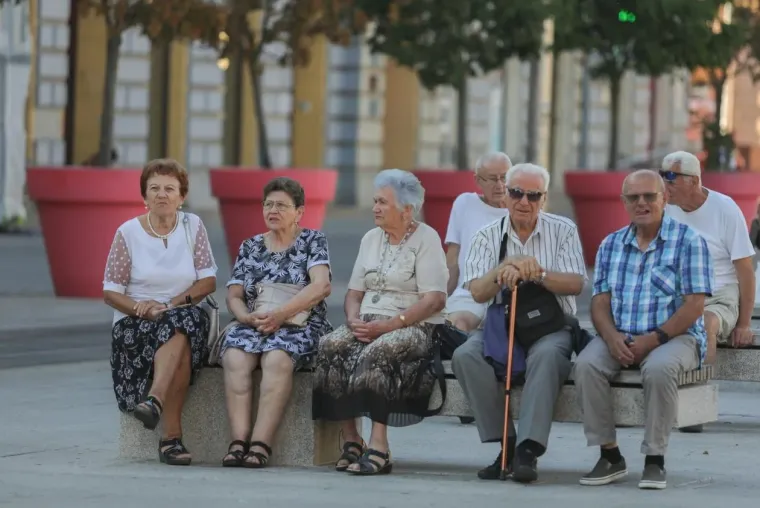 Samozatajnoj dami u tigrastom topu nešto je okupiralo pažnju
