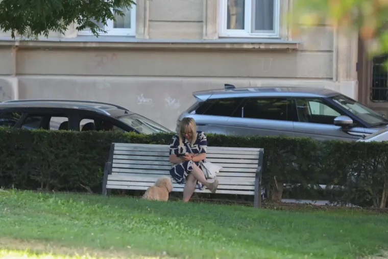 Samozatajnoj dami u tigrastom topu nešto je okupiralo pažnju