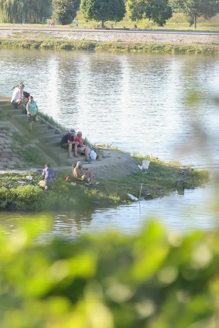 Samozatajnoj dami u tigrastom topu nešto je okupiralo pažnju