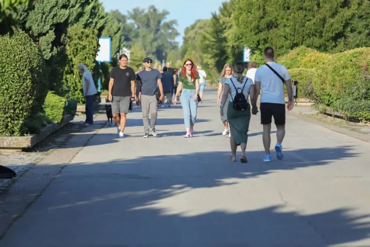 Samozatajnoj dami u tigrastom topu nešto je okupiralo pažnju