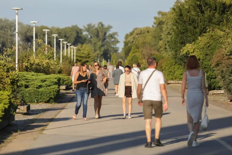 Samozatajnoj dami u tigrastom topu nešto je okupiralo pažnju