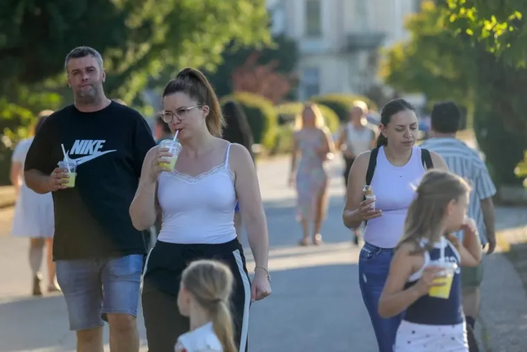 Samozatajnoj dami u tigrastom topu nešto je okupiralo pažnju