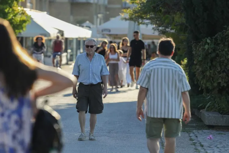 Samozatajnoj dami u tigrastom topu nešto je okupiralo pažnju