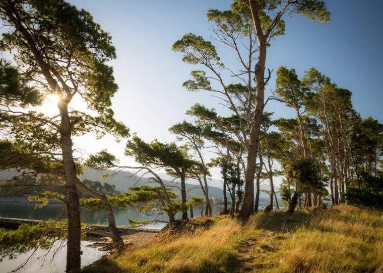 Ovaj hrvatski otok nosi nadimak 'Sretni': Rimljani su imali dobre razloge kad su ga tako nazvali