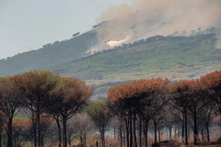 Dim se diže iz Vezuva, ali ne zbog erupcije: Vatrena stihija guta krater vuklana