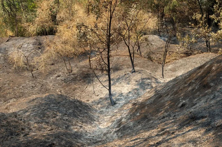 Dim se diže iz Vezuva, ali ne zbog erupcije: Vatrena stihija guta krater vuklana