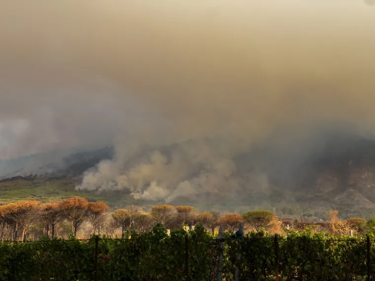 Dim se diže iz Vezuva, ali ne zbog erupcije: Vatrena stihija guta krater vuklana