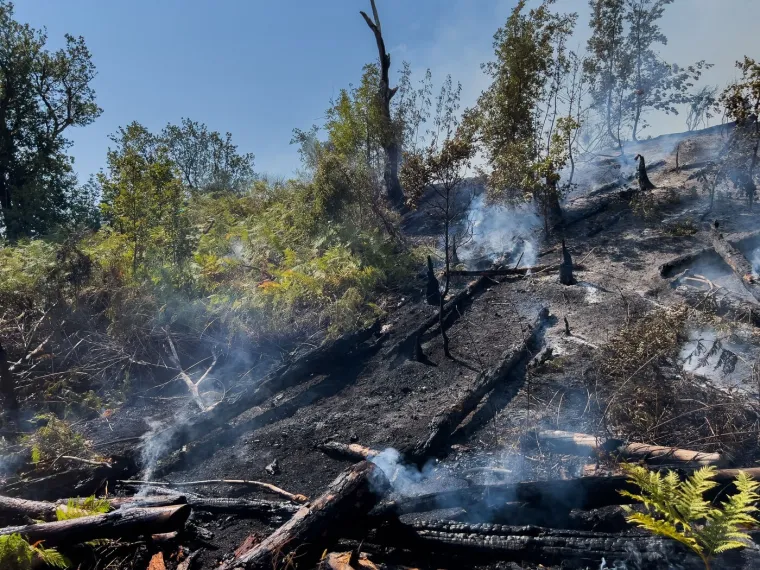 Dim se diže iz Vezuva, ali ne zbog erupcije: Vatrena stihija guta krater vuklana
