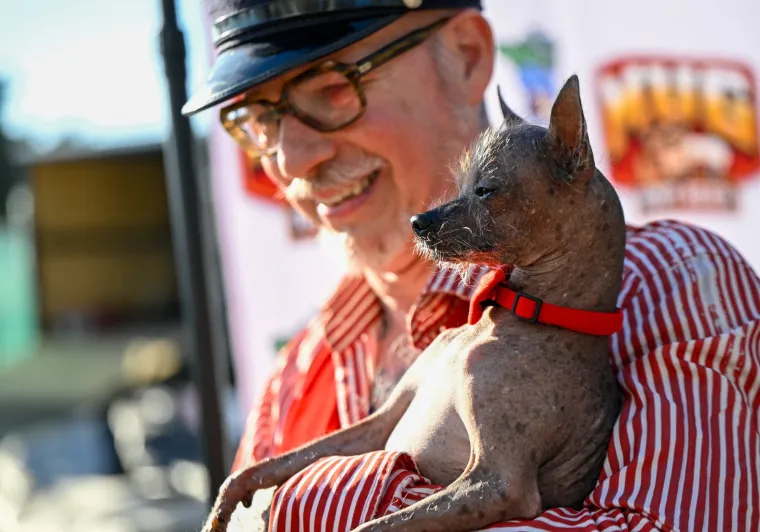 Izabran najružniji pas na svijetu, konkurencija je baš bila žestoka