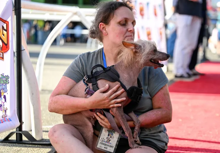 Izabran najružniji pas na svijetu, konkurencija je baš bila žestoka