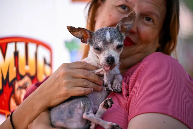 Izabran najružniji pas na svijetu, konkurencija je baš bila žestoka