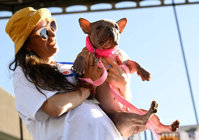 Izabran najružniji pas na svijetu, konkurencija je baš bila žestoka