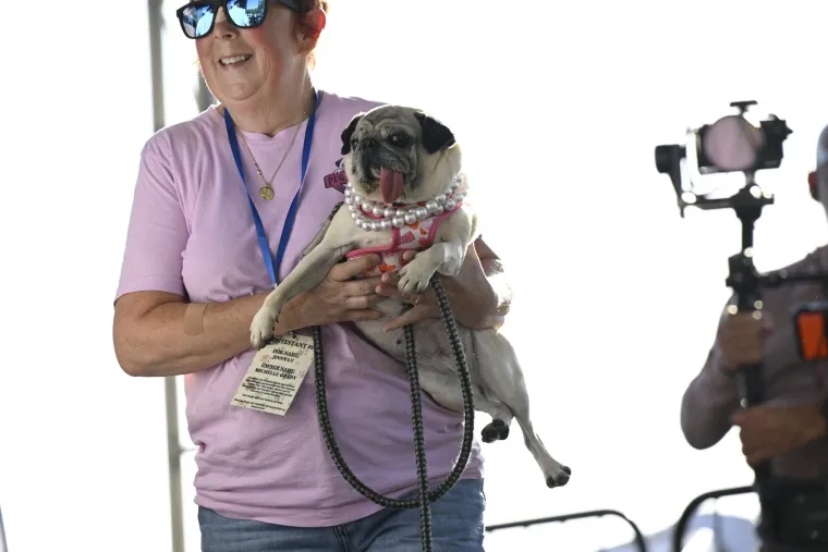 Izabran najružniji pas na svijetu, konkurencija je baš bila žestoka