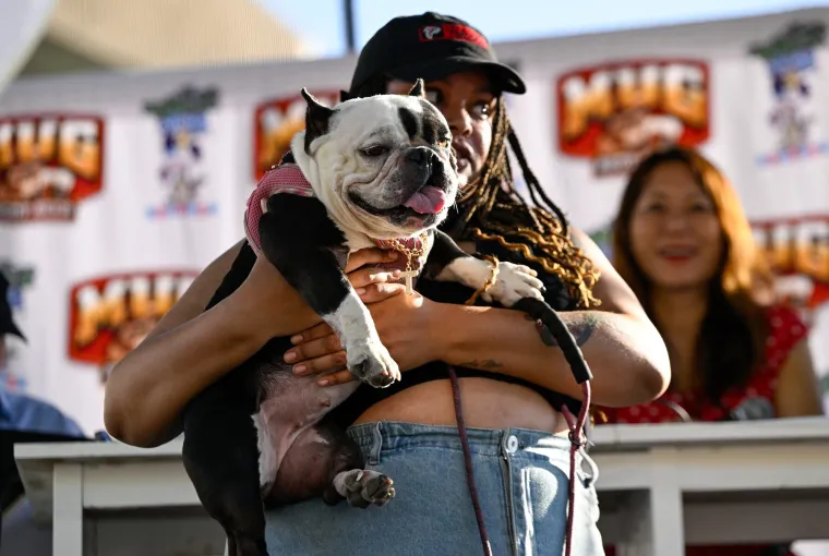 Izabran najružniji pas na svijetu, konkurencija je baš bila žestoka