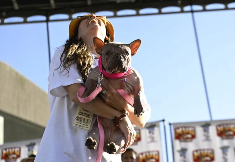 Izabran najružniji pas na svijetu, konkurencija je baš bila žestoka