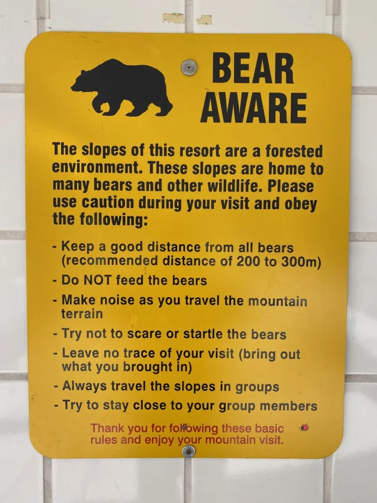 Ovdje će se pisati povijest? Trump i Putin u luksuznom resortu u kojem vrebaju medvjedi