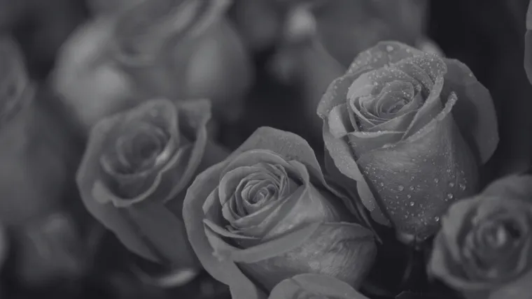 Dokaži se kao veliki znalac i prepoznaj barem pet boja ovog cvijeća