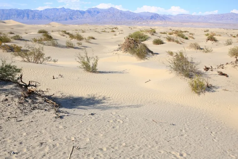 U ovoj pustinji, navodno je izmjerena najviša temperatura ikad: Takvu vrućinu nemoguće je zamisliti