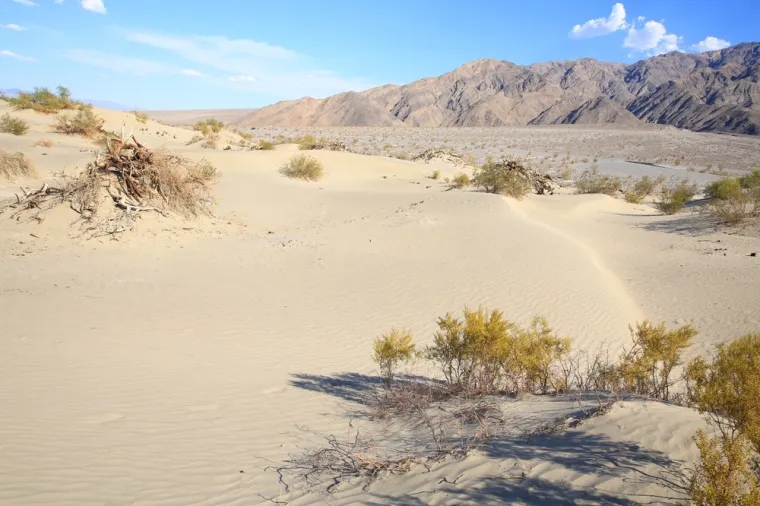 U ovoj pustinji, navodno je izmjerena najviša temperatura ikad: Takvu vrućinu nemoguće je zamisliti