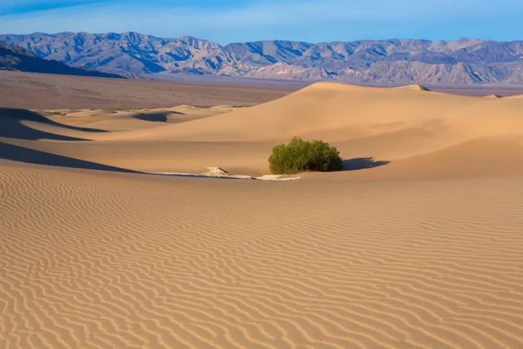 U ovoj pustinji, navodno je izmjerena najviša temperatura ikad: Takvu vrućinu nemoguće je zamisliti