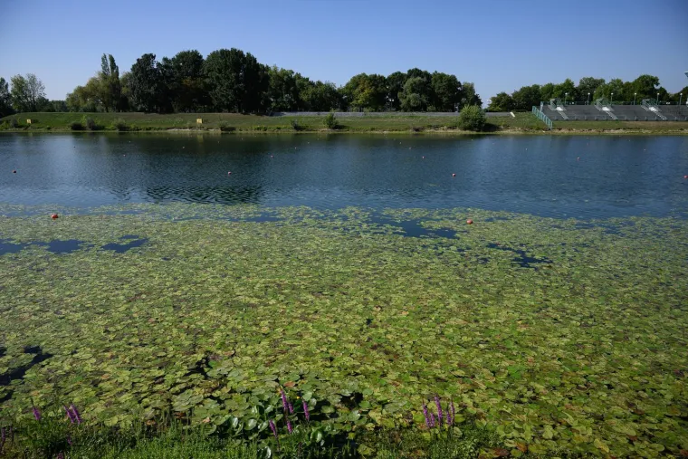 Ovo je Jarun, i ovi prekrasni prizori lokvanja mnoge bacaju u očaj: Evo u čemu je problem
