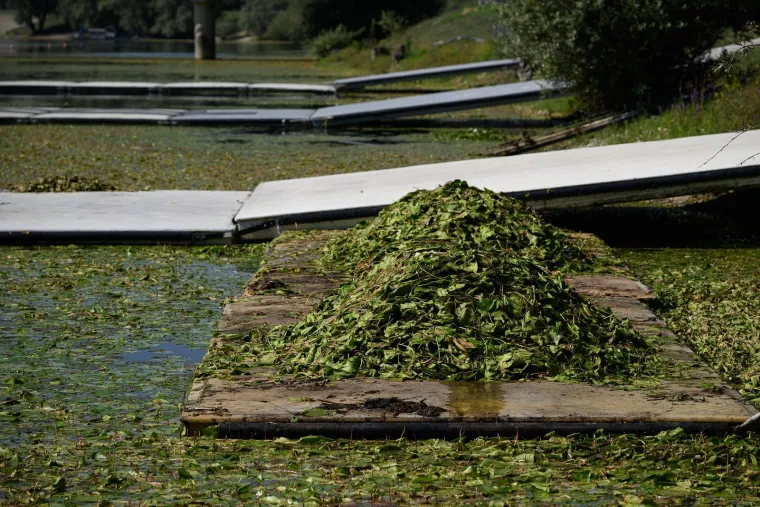 Ovo je Jarun, i ovi prekrasni prizori lokvanja mnoge bacaju u očaj: Evo u čemu je problem