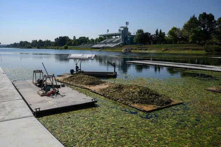 Ovo je Jarun, i ovi prekrasni prizori lokvanja mnoge bacaju u očaj: Evo u čemu je problem