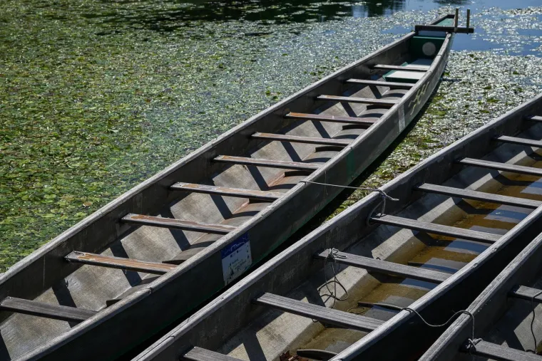Ovo je Jarun, i ovi prekrasni prizori lokvanja mnoge bacaju u očaj: Evo u čemu je problem
