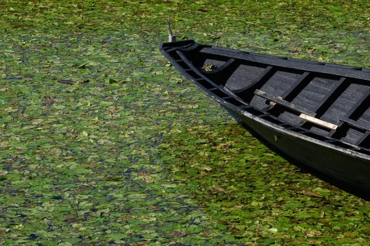 Ovo je Jarun, i ovi prekrasni prizori lokvanja mnoge bacaju u očaj: Evo u čemu je problem