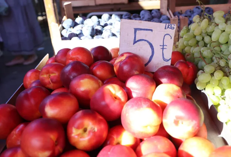 Grožđe, šljive, marelice - sve po 5 eura: Je li vam ovo normalno? Pogledajte cijene s tržnice na Jadranu