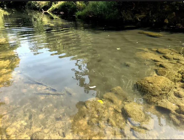 Te&scaron;ke fekalije zagađuju Koranu, katastrofa u &scaron;pilji Adios: Potpuno je mrtva, endemske ribe uni&scaron;tene