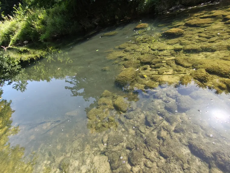 Te&scaron;ke fekalije zagađuju Koranu, katastrofa u &scaron;pilji Adios: Potpuno je mrtva, endemske ribe uni&scaron;tene