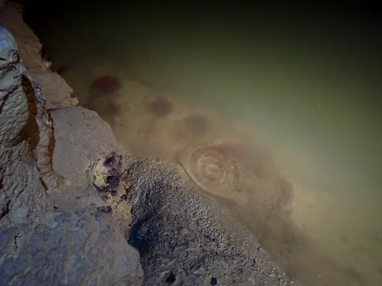 Te&scaron;ke fekalije zagađuju Koranu, katastrofa u &scaron;pilji Adios: Potpuno je mrtva, endemske ribe uni&scaron;tene