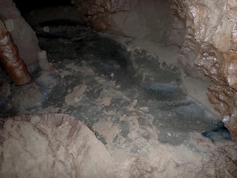 Te&scaron;ke fekalije zagađuju Koranu, katastrofa u &scaron;pilji Adios: Potpuno je mrtva, endemske ribe uni&scaron;tene