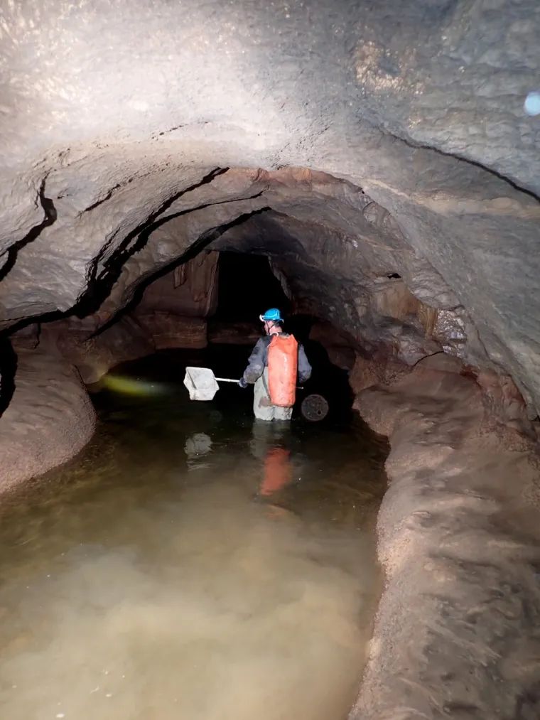 Te&scaron;ke fekalije zagađuju Koranu, katastrofa u &scaron;pilji Adios: Potpuno je mrtva, endemske ribe uni&scaron;tene