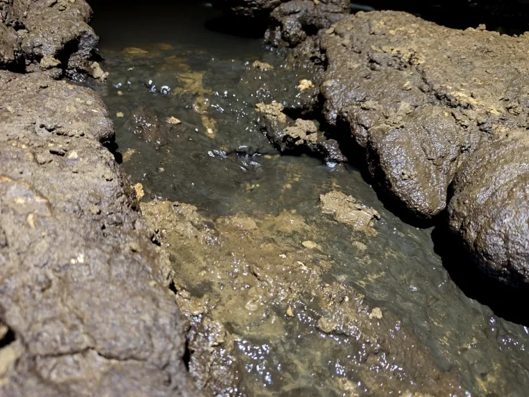 Te&scaron;ke fekalije zagađuju Koranu, katastrofa u &scaron;pilji Adios: Potpuno je mrtva, endemske ribe uni&scaron;tene