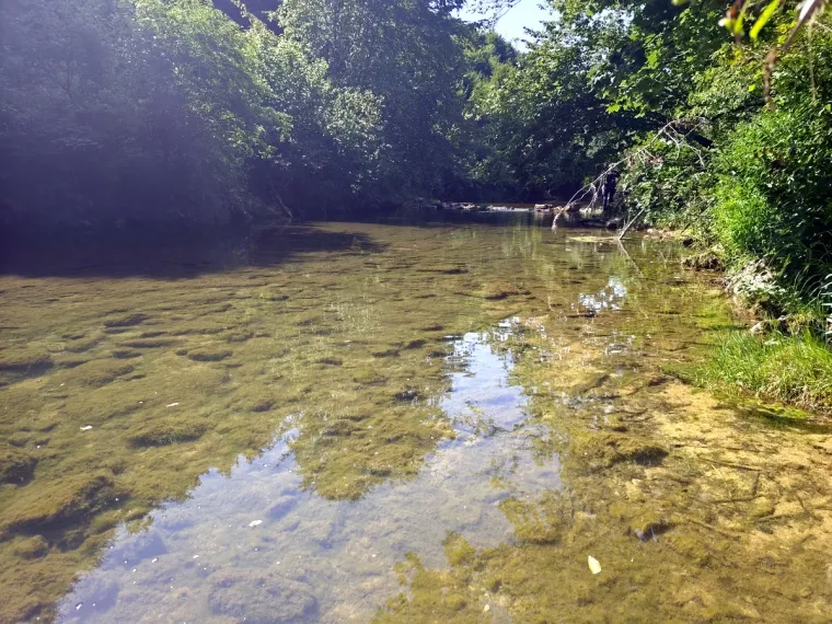Te&scaron;ke fekalije zagađuju Koranu, katastrofa u &scaron;pilji Adios: Potpuno je mrtva, endemske ribe uni&scaron;tene