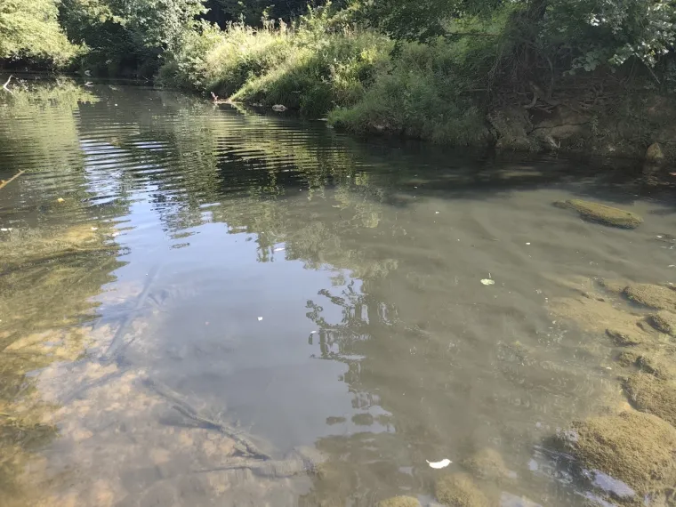 Te&scaron;ke fekalije zagađuju Koranu, katastrofa u &scaron;pilji Adios: Potpuno je mrtva, endemske ribe uni&scaron;tene