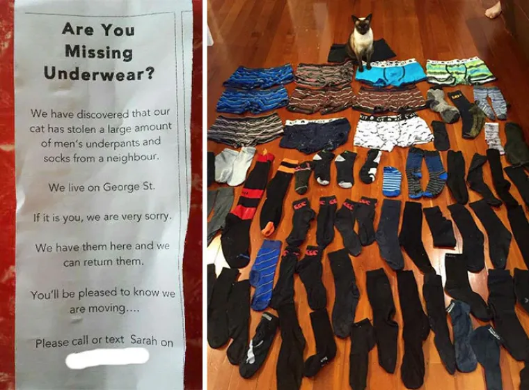 Za&scaron;to mace ovo izvode? Zato &scaron;to im se može! No, svi ti prizori dio su njihova &scaron;arma i razlozi za&scaron;to ih volimo