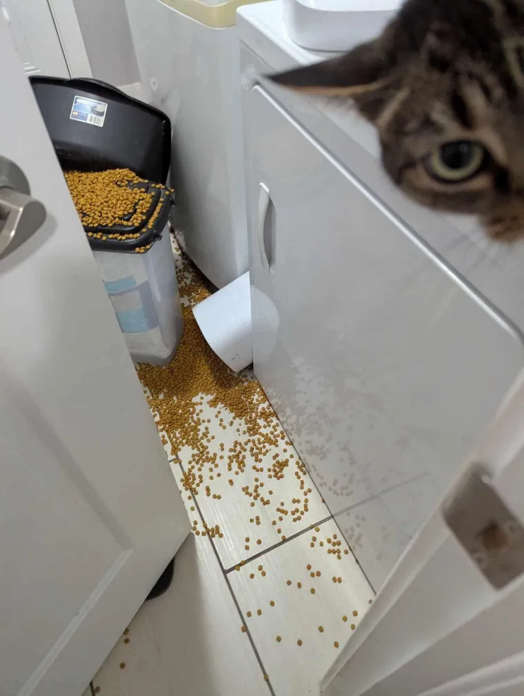 Kome lažemo da treba čuvati živce? Sve ove situacije uvijek će vam u sekundi dići tlak i pokvariti dan