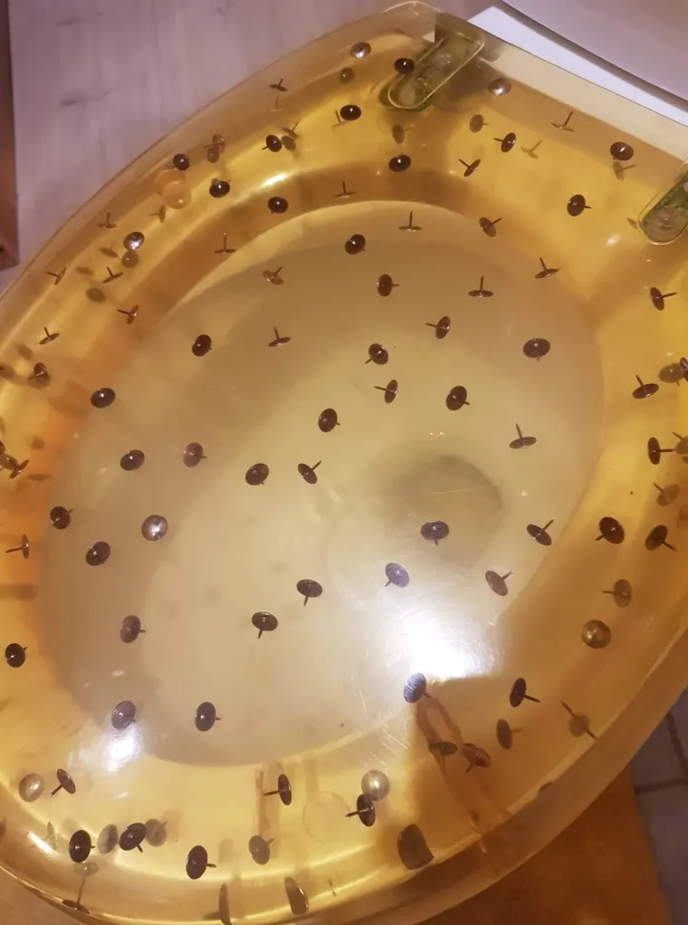 Vi ćete se možda sada rugati, ali neki među nama su doista spremni potro&scaron;iti novce na ovakve grozote