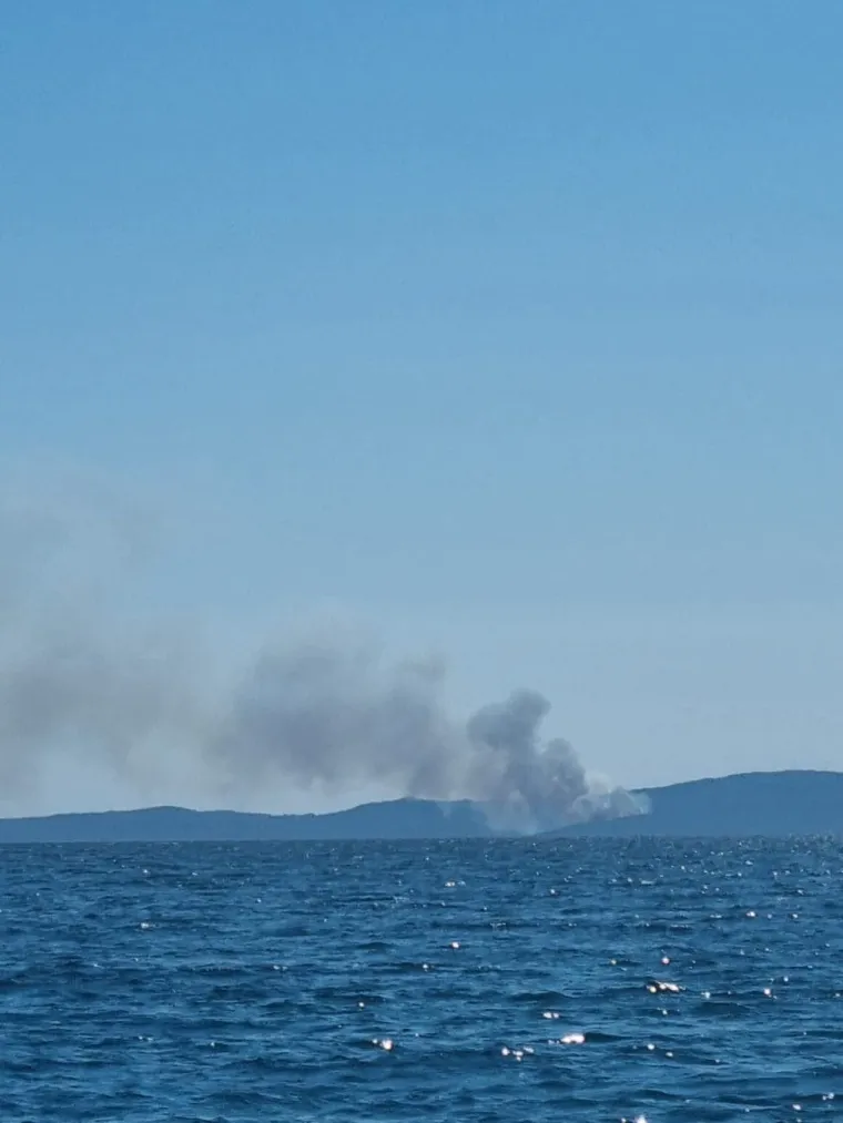 Veliki požar na &Scaron;olti! Vatrogasne snage na terenu, stigao i kanader