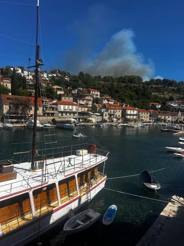 Veliki požar na &Scaron;olti! Vatrogasne snage na terenu, stigao i kanader