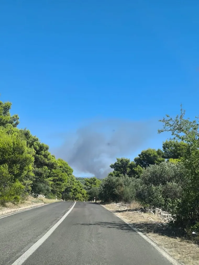 Veliki požar na &Scaron;olti! Vatrogasne snage na terenu, stigao i kanader