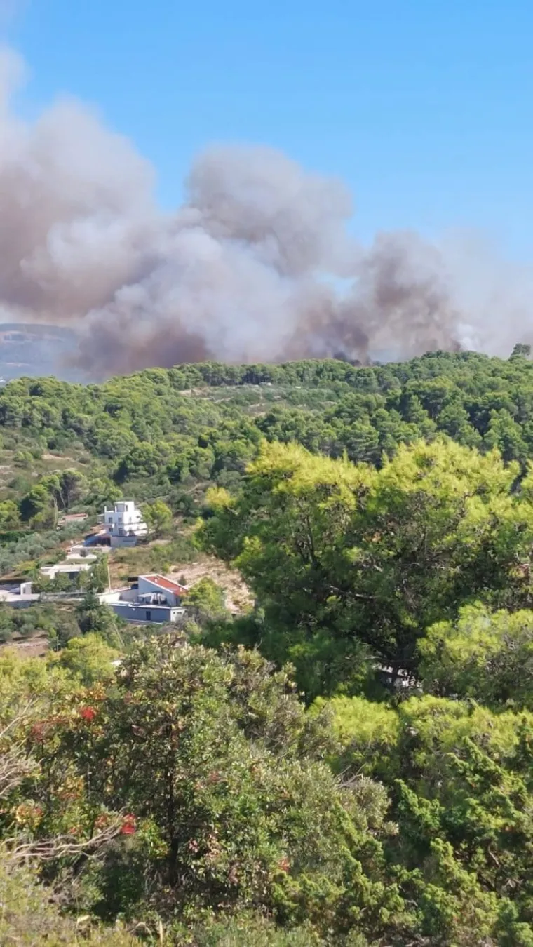 Veliki požar na &Scaron;olti! Vatrogasne snage na terenu, stigao i kanader