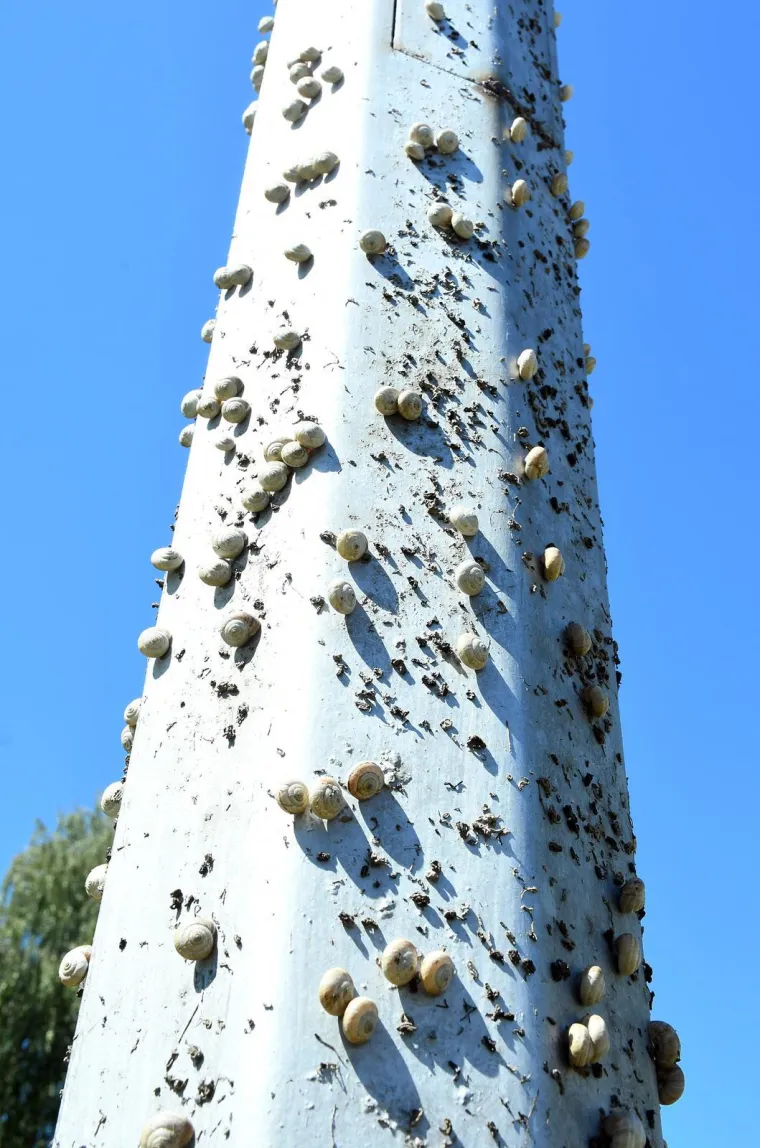 Njima je ovo Zrće: Možete li shvatiti što je na gradskom stupu? Gore se odvija pravi party