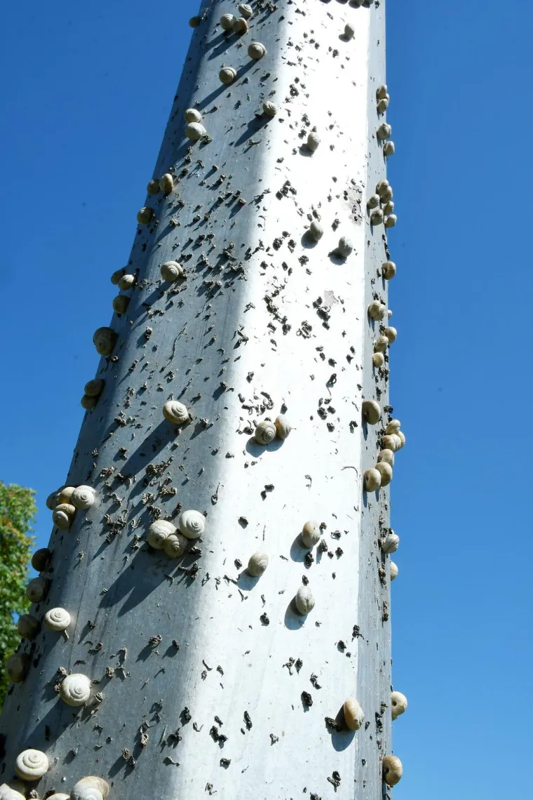 Njima je ovo Zrće: Možete li shvatiti &scaron;to je na gradskom stupu? Gore se odvija pravi party
