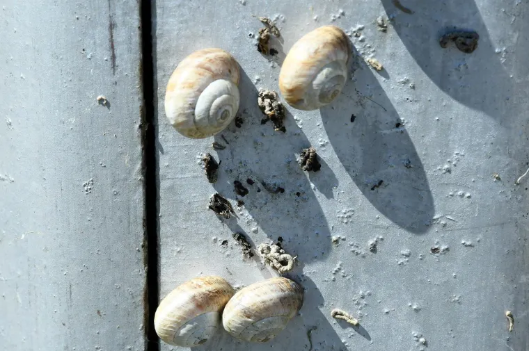 Njima je ovo Zrće: Možete li shvatiti &scaron;to je na gradskom stupu? Gore se odvija pravi party