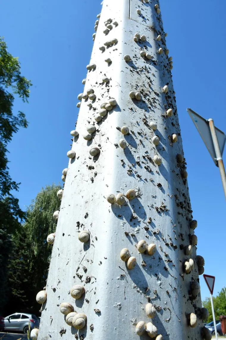 Njima je ovo Zrće: Možete li shvatiti &scaron;to je na gradskom stupu? Gore se odvija pravi party